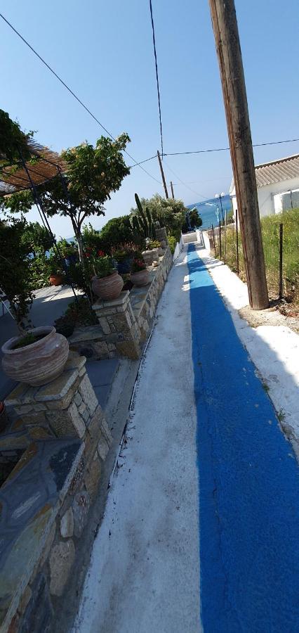 קארלובאסי Jenny Apartments מראה חיצוני תמונה