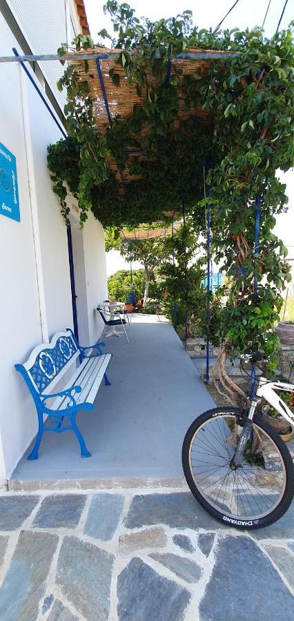 קארלובאסי Jenny Apartments מראה חיצוני תמונה